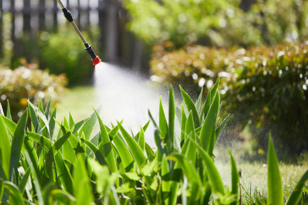 Tamper-Resistant Bait Stations for Rodents in Glenmora