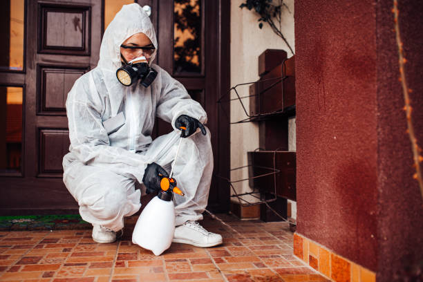 Attic and Crawl Space Rodent Treatment in Glenmora