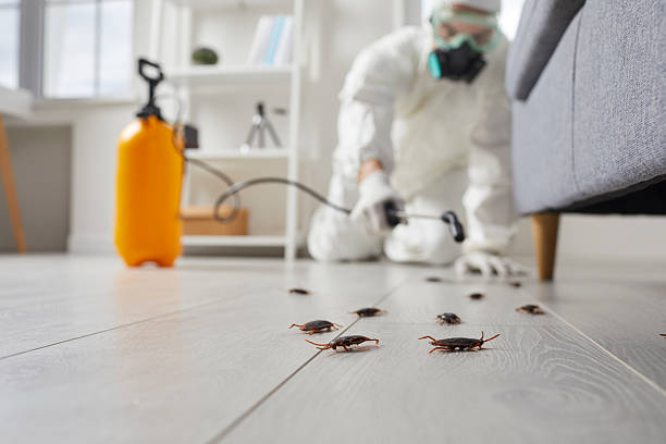 Commercial Rodent Management in Glenmora